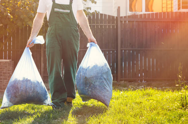 Best Basement Cleanout Services  in Fkville, AL